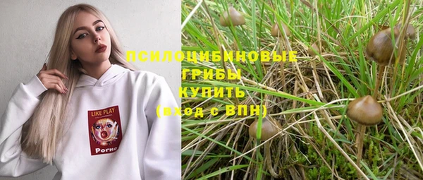 соль курить ск Михайловка